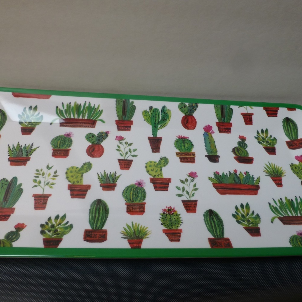 cactus succulent melamine easy party tray 8x17